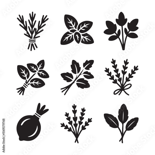 Fresh Herb Bunch Outline Icons
