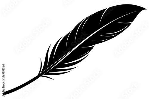 vector illustration of feather
