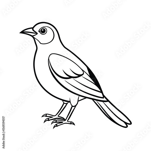 A mynah bird line art vector illustration.