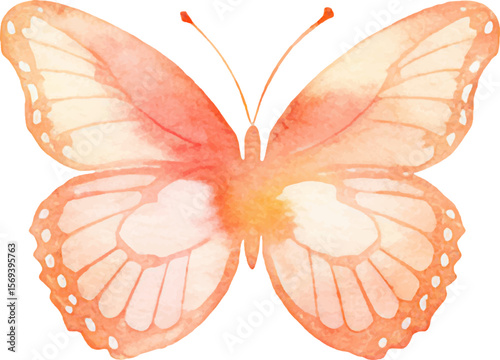 Vector watercolor painted butterfly. Hand drawn design elements isolated on white background.
