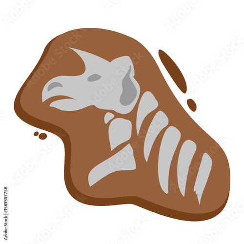 Dinosaur Bone Fossils