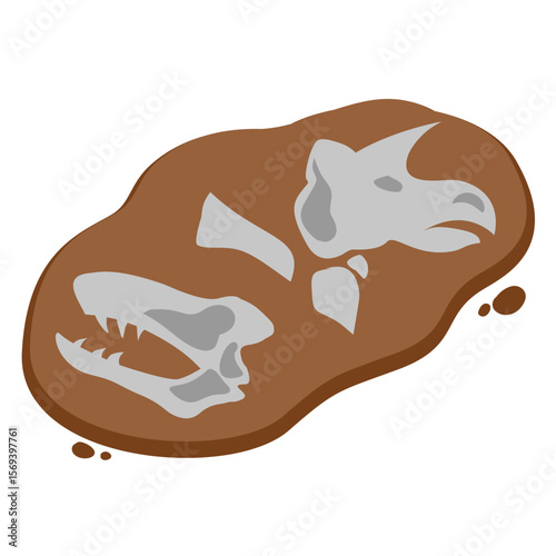 Dinosaur Bone Fossils