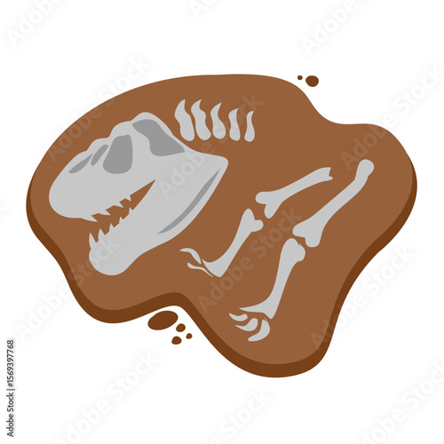 Dinosaur Bone Fossils
