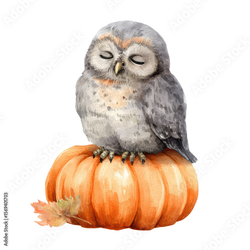 Sleepy Owl Sitting on a Pumpkin in Lovely Watercolor Illustration Perfect for Autumn-themed Art and Decor