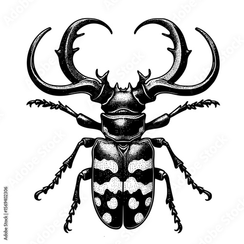 stag beetle vector