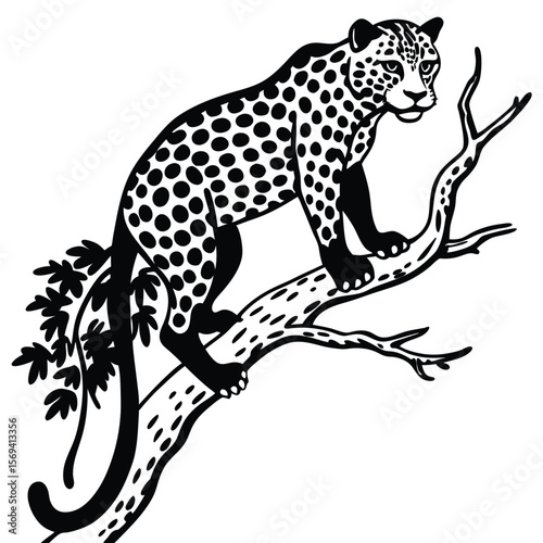 Black and white spotted jaguar perched on a tree branch silhouette