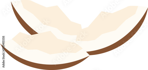 illustration of a coconut