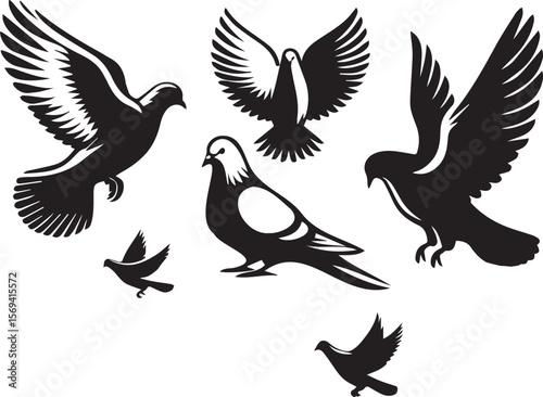 Pigeon Vector Silhouette Set – Clean Flying Bird Poses – Minimal Flat Bird Illustration