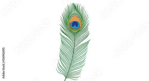 A detailed illustration of a single vibrant green peacock feather with its characteristic eye pattern