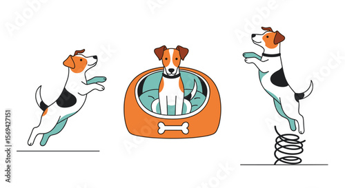 Playful jack russell terriers engage in energetic activities enjoying their day outdoors