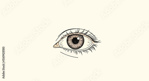 Eye Illustration: Detailed Sketch on Cream Background