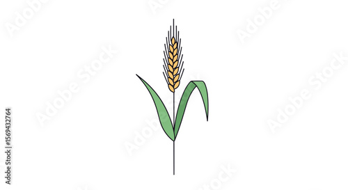 Golden wheat stalk with green leaves against a white background abstract artistic representation