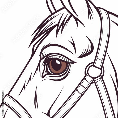 Horse eye brown detailed vector close up