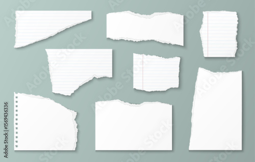 Realistic torn paper pieces - white notebook sheets with ripped edges, line grid and blank scraps. Scrapbook elements with various tear patterns for collage projects, journaling or craft designs.