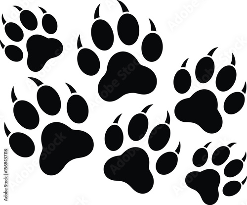 Collection of black bear paw prints with sharp claws on a white background