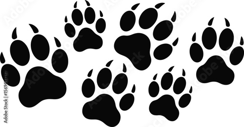 Collection of black paw prints on a white background representing animal tracks
