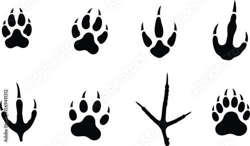 Various animal paw prints and tracks isolated on white background