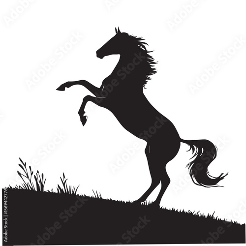 Majestic Rearing Horse Silhouette - Black and White Equine Art ,vector image of hoarse