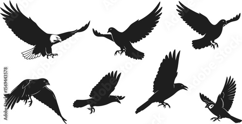 Eagles, crows, ravens, and sparrows are in flight, isolated on white background