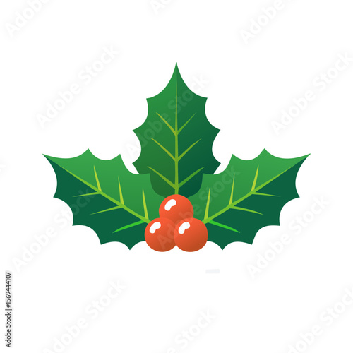Christmas Holly Isolated on a Transparent Background