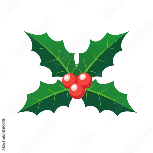 Christmas Holly Isolated on a Transparent Background