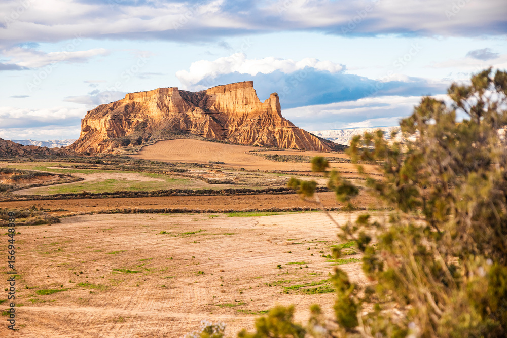 Obraz premium red rock canyon