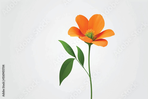 Orange flower with green stem, isolated on white background. Beautiful blossom flower for summer decoration, Spring design elements, PNG, Cut out