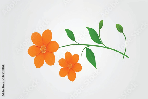 Orange flower with green stem, isolated on white background. Beautiful blossom flower for summer decoration, Spring design elements, PNG, Cut out