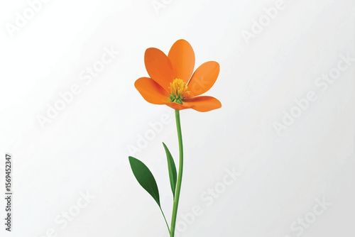 Orange flower with green stem, isolated on white background. Beautiful blossom flower for summer decoration, Spring design elements, PNG, Cut out