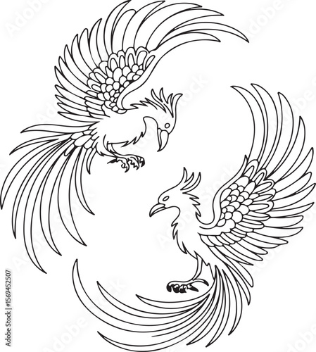 Elegant black and white illustration of two phoenix birds in a circular composition