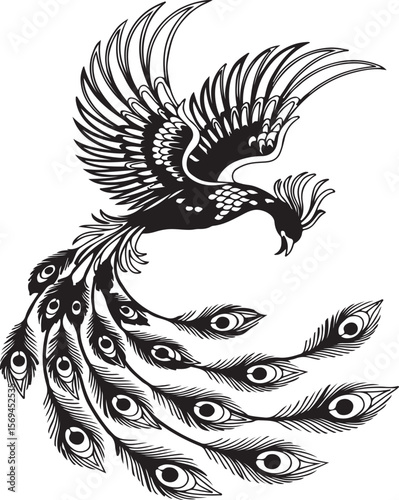 Elegant black and white phoenix bird illustration with detailed feathered wings and tail