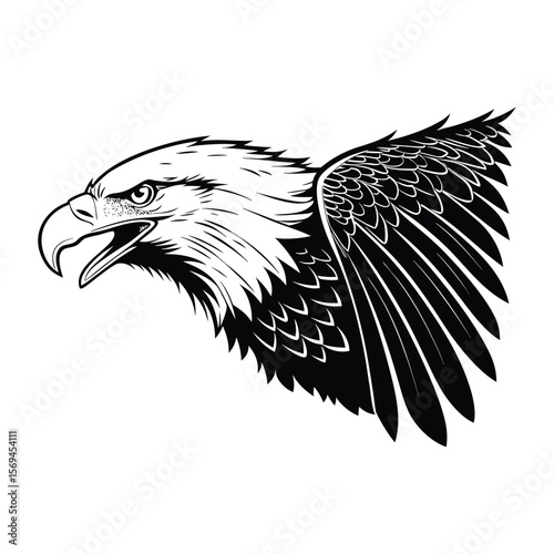 angry bald eagle head vector art illustration