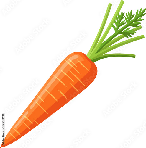Vibrant Orange Carrot with Green Leafy Tops Isolated on White Background