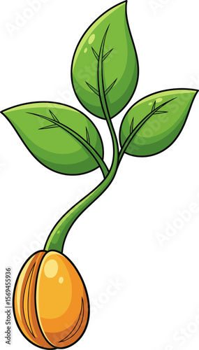 Green sprout growing from a seed illustration