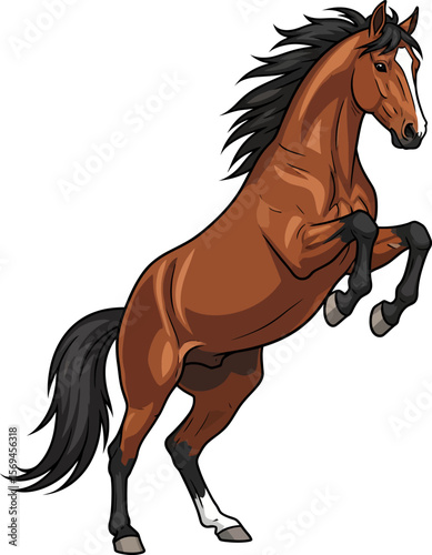 Majestic Brown Horse Reared Up on Hind Legs
