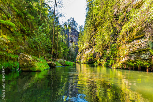 A view from a boat along the navigable section of the Kamenice river in Czech Switzerland in springtime
