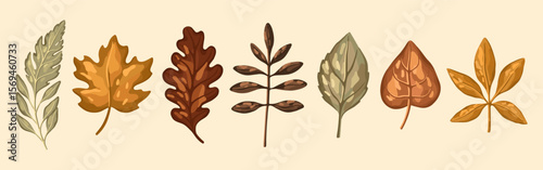 Autumn Leaves Clipart. Different Hand-Drawn Fall Foliage. Vector.