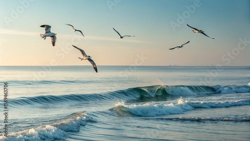 Seagulls Flying Above Calm Sea Waves