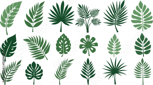 Create a kinds of deferent Tropical leaves vector. Set of palm leaves silhouettes isolated on white background. vector art with white background.