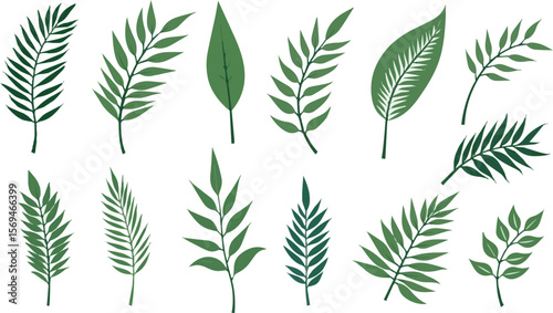 Create a kinds of deferent Tropical leaves vector. Set of palm leaves silhouettes isolated on white background. vector art with white background.