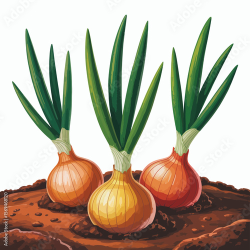 Three Young Onions Growing in the Soil