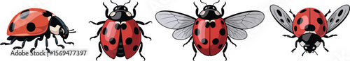 Collection of four colorful ladybugs in different poses