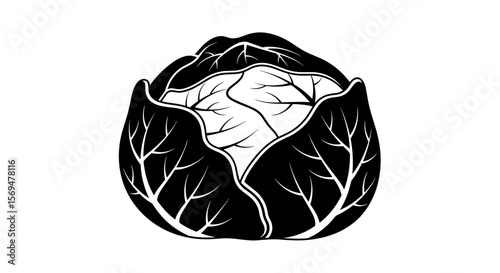 Cabbage head silhouette black and white minimal illustration