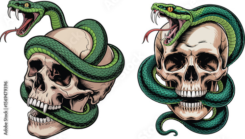 Two detailed illustrations of a green snake coiled around a human skull