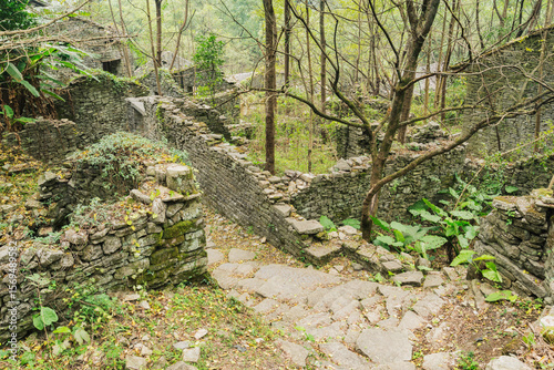 Abandoned town in the jungle.