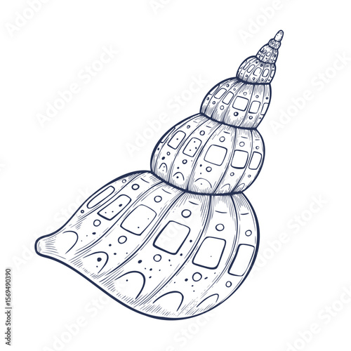 Vector illustration of spiral sea Shell for marine design or nautical invitations. Linear drawing of Seashell or Seashore for coastal decor. Outline sketch of Conch for ocean greeting cards.