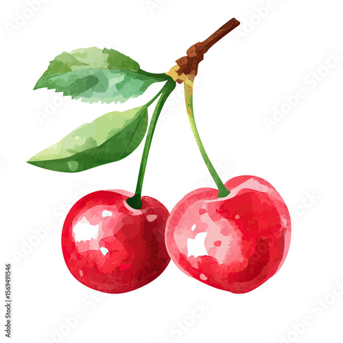 Watercolor style vector illustration of two ripe red cherries with green leaves and brown stem on white background in flat minimalist design