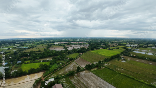 aerial view of rice field
