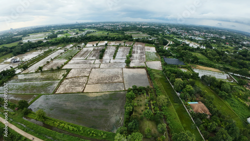 aerial view of plantation