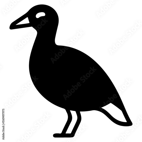 vector illustration of a duck